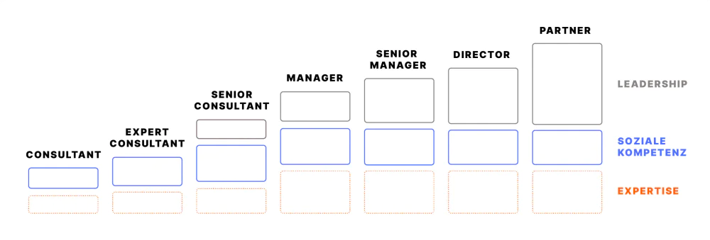 image Laufbahn Consultant